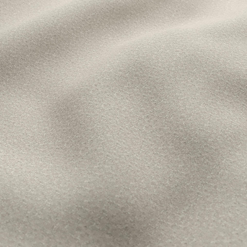Chinchilla